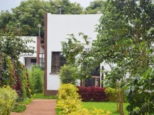 The Plantains Place