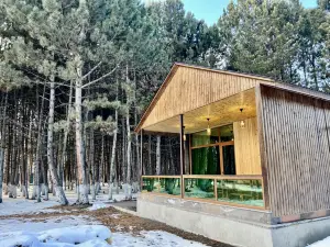 Milenium Villa