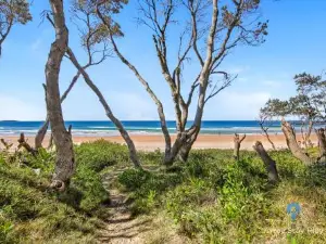 Shellies On The Beach - Little House