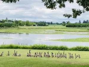 READY FOR YOUR VISIT.Relaxing Getaway with Scenic Beauty and lots of Wildlife