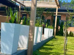 Apartment Sunny Place