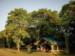 Governors' Camp