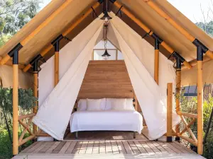 Wecamp San Sebastián