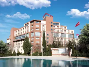 Anemon Grand Manisa Otel