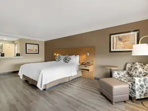 베스트 웨스턴 플러스 뉴포트 메사 인