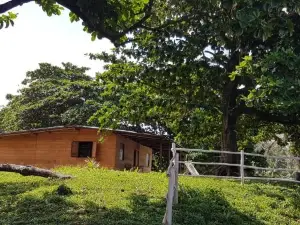 Gombela Ecolodge and Farming