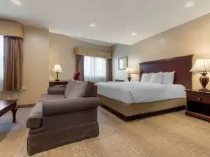 Best Western Plus Vineyard Inn  Suites