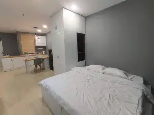 Champs Elysees Couple Homestay with City View