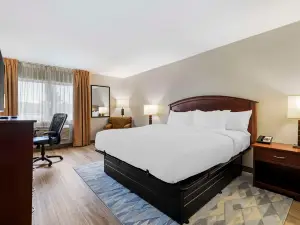 Comfort Inn Albert Lea at Trails Travel Center