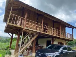 Gạo hạt dẻ homestay