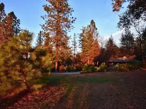 Heron Cottage - Tranquil Retreat