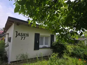 Jasień 77 A