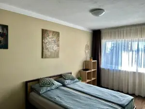 Roor Top Nest 1