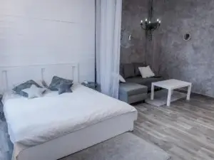 Studio Type Apartment in Ķegums