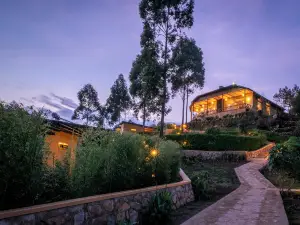 카라 고릴라 마운틴 로지