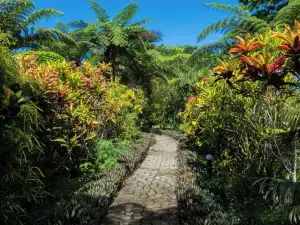 Sacred Garden Fiji