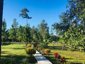 Kane Villas - Mountain Pine Ridge