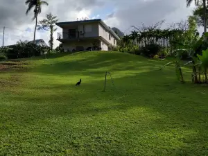 Casa de Campo Rio Arriba