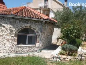 Ruža