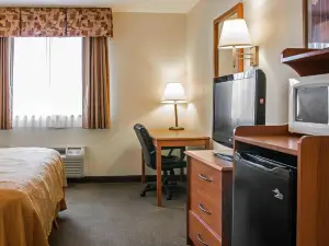 Quality Inn Durand I-69