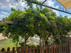 Agriturismo la Stragola