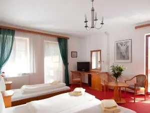 Boutique Hotel U Solné brány