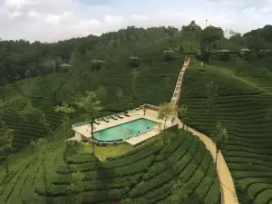 Wild Planet Jungle Resort