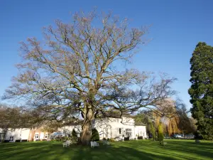 Wrexham Llyndir Hall Hotel by Belvilla