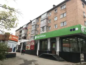 Apartment on Lenin sq. 6