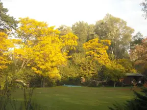 Cabañas Las Lavandas en Pilar