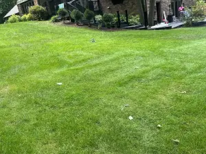 Spacious 5-bedroom house in Green Bay with WiFi, 15 minutes to Packer stadium