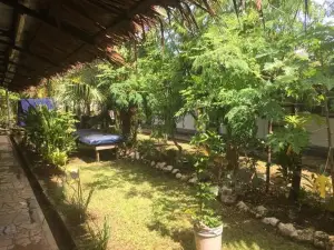 Olivias Accommodation