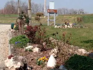 Studio Apartman Šafarić