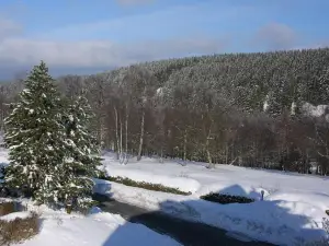 Ferienzimmer im Oberharz