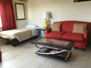 Central Apartment