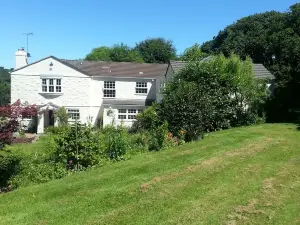 Rosmerryn