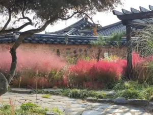 산에는 꽃이피네