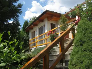 Spa & Pool Apartments Prestige Villa Ivica