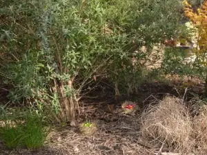 Gite de Charme en Sologne, séjour en Famille, Jardin, rivière, Jeux, Nature & détente