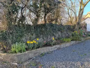 Traditional Cottage Near the Wild Atlantic Way
