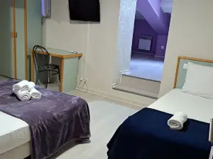 레 알리제 르 푸장