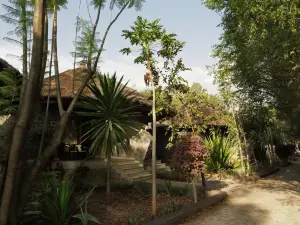 Abay Minch Lodge