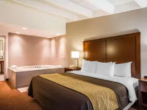 Comfort Inn & Suites Madison - Airport