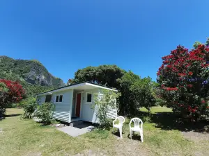 Punakaiki Beach Camp