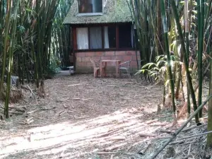 Cabana Bambu