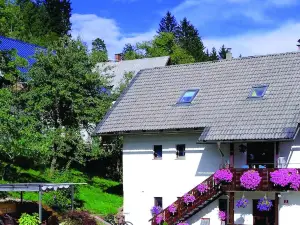 Apartments Lake Bohinj Medja
