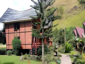 Roman Sinasi Hotel
