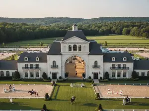 เดอะ บริก ดัชชุนด์ ชิค ฟอร์ 9