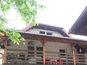 Agroturystyka SzumyNowiny