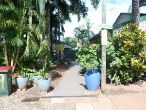 Rainforest Motel